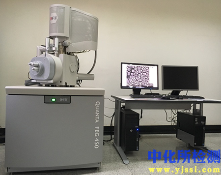 扫描电子显微镜（SEM-EDS）