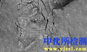 煤素质组分显微镜检验