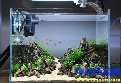 水族箱检测