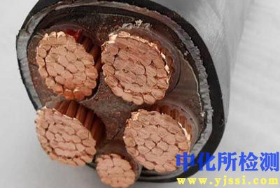 铜芯检测