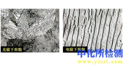 珠光体检测
