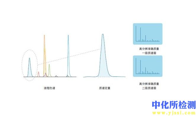 定性定量分析