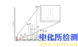 质谱分析