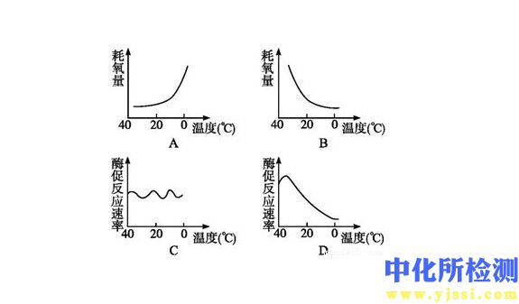 耗氧量试验